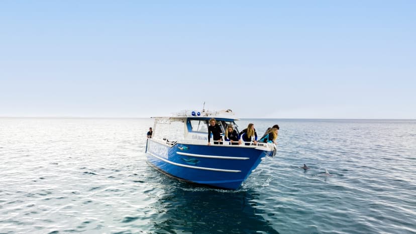 Kangaroo Island Adventure Tour 4