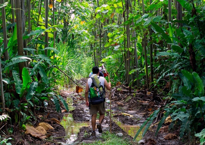 9 Days From Inca Ruins to the Rainforest 3