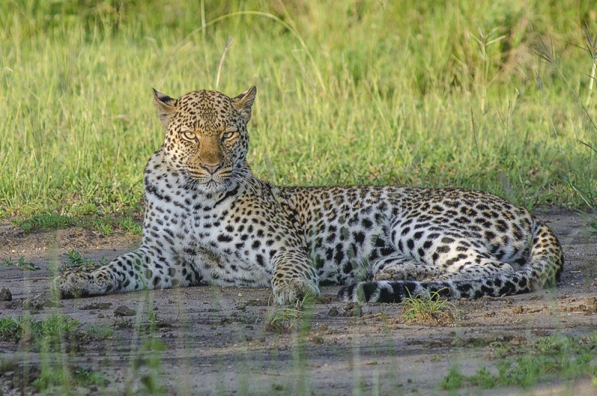 10 Days of Culture, Wildlife & Scenic Wonders 10 Days of Culture, Wildlife & Scenic Wonders