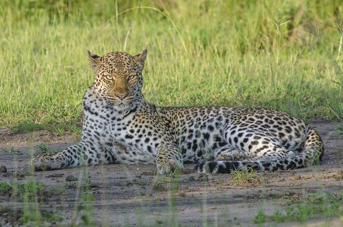 10 Days of Culture, Wildlife & Scenic Wonders 1