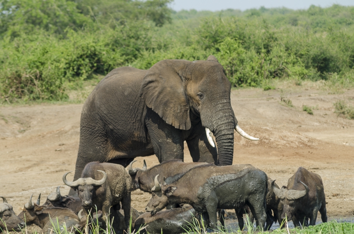 10 Days of Culture, Wildlife & Scenic Wonders 2