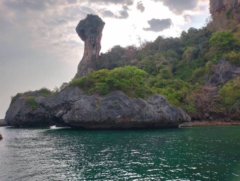 7 Islands Sunset with Bio Luminescent Swimming By Speed Boat 4