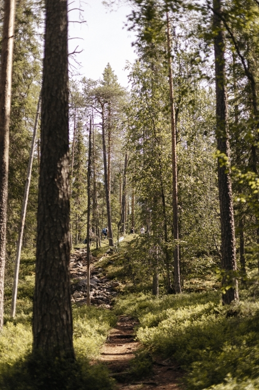 Auttiköngäs Nature Trail 2