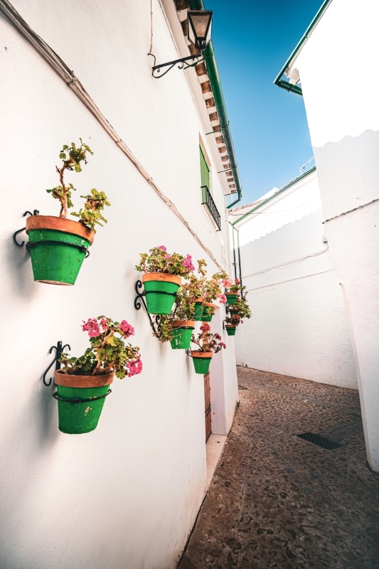White Villages of Cordoba 2