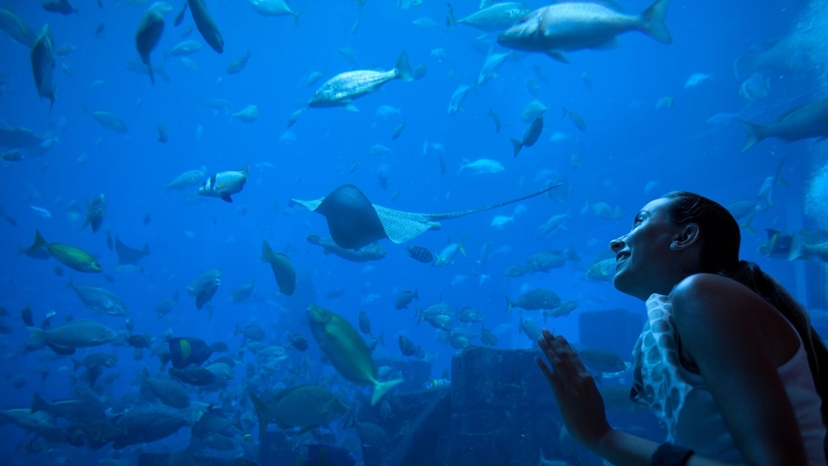 4 Day Antalya Family & Kids Tour – Aquarium, Pirate Cruise & Sandland Fun 3
