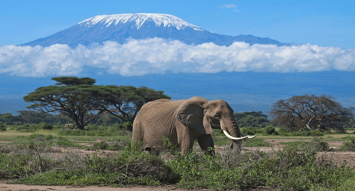 3 Days Amboseli Safari 1