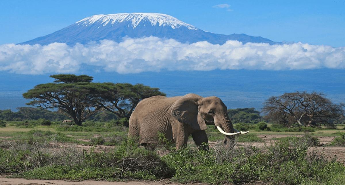 3 Days Amboseli Safari 3 Days Amboseli Safari