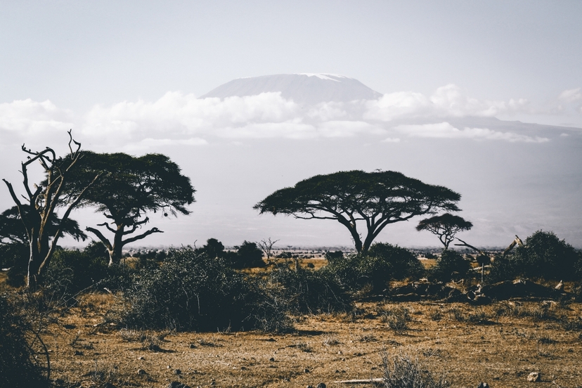 3 Days Amboseli Safari 3