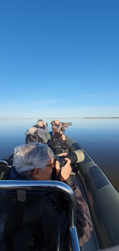 Lisbon Birdwatching in the Tagus Estuary by Boat 3