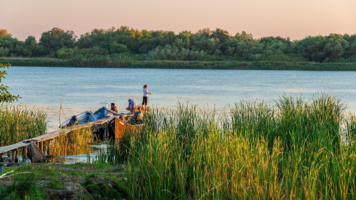 Wildlife Photo Tour to the Danube Delta, 5 Days 4 Night Shared 1