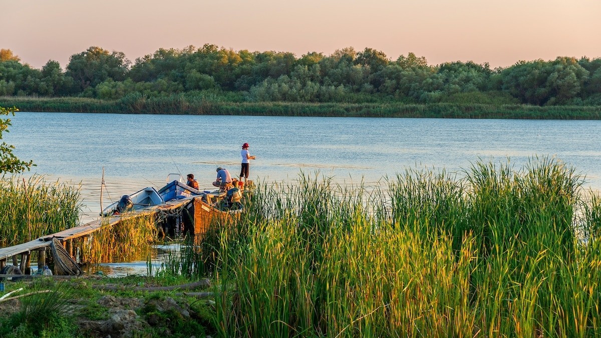 Wildlife Photo Tour to the Danube Delta, 5 Days 4 Night Shared 1