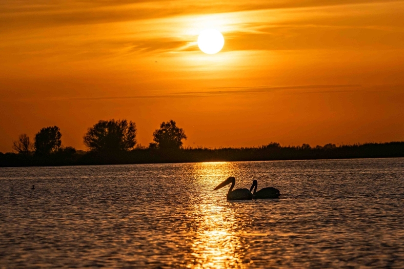 Wildlife Photo Tour to the Danube Delta, 5 Days 4 Night Shared 4
