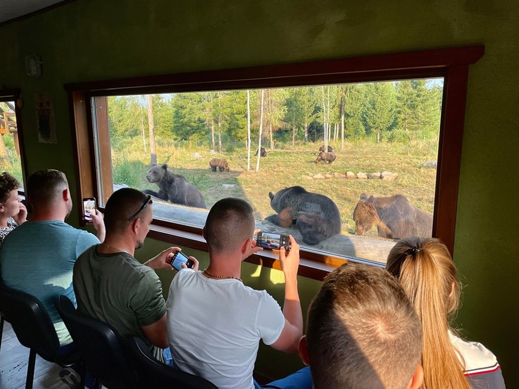 3 Day Adventure Tour Bear Watching, Bicaz Gorge & Red Lake 1