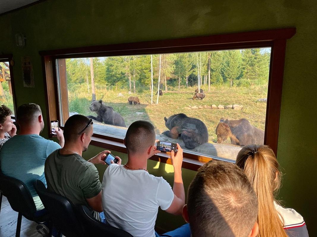 3 Day Adventure Tour Bear Watching, Bicaz Gorge & Red Lake 3 Day Adventure Tour Bear Watching, Bicaz Gorge & Red Lake