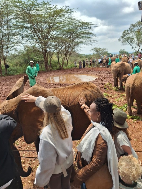 7-Day Classic Kenya Safari — Samburu, Ol Pejeta, Nakuru & Amboseli with Jossec Safaris 1