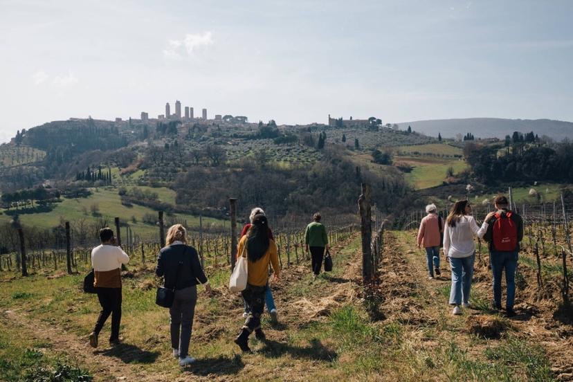 Tuscany Experience: Pisa, Siena, San Gimignano and Chianti from Florence with Optional Leaning Tower Entrance 4