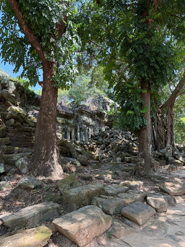 Private Airport Pickup & The Customized Trip in Siem Reap 2