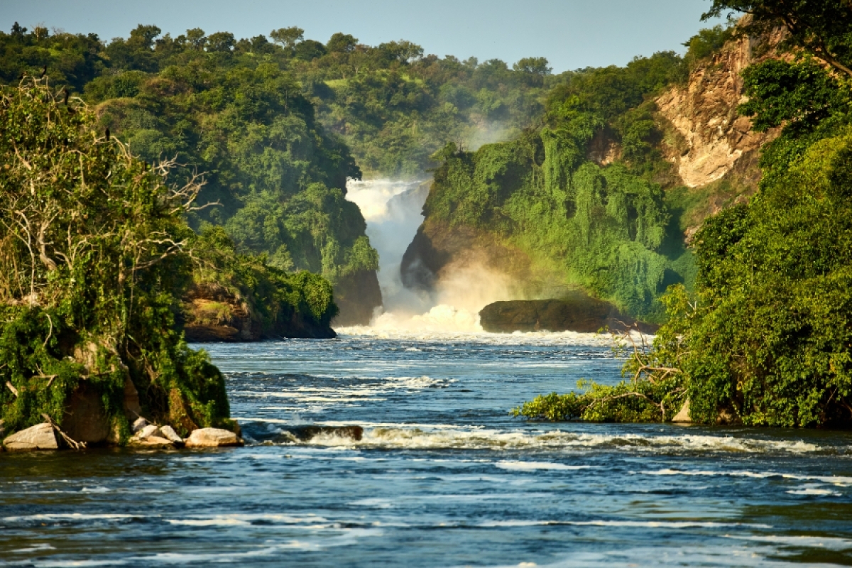 6 Days Chimpanzee Trekking Wildlife Safari to Uganda 1