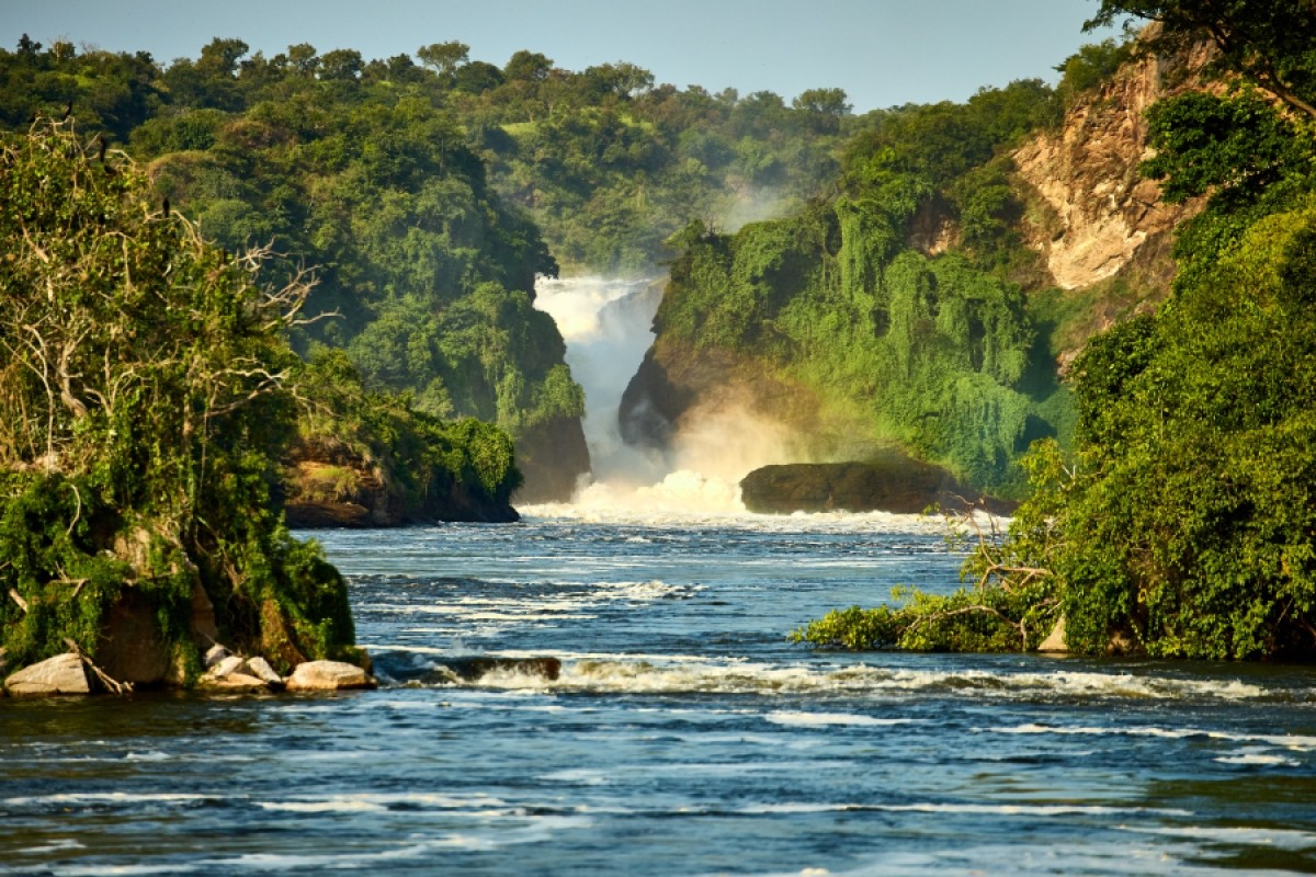 6 Days Chimpanzee Trekking Wildlife Safari to Uganda 1
