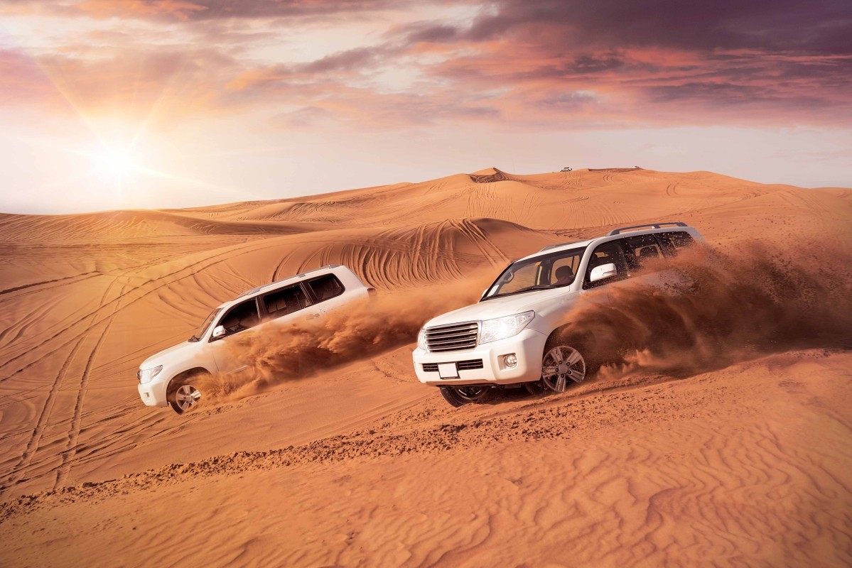 Dubai : Red Dune Safari, BBQ VIP Dinner, Camel & Traditional Show 1