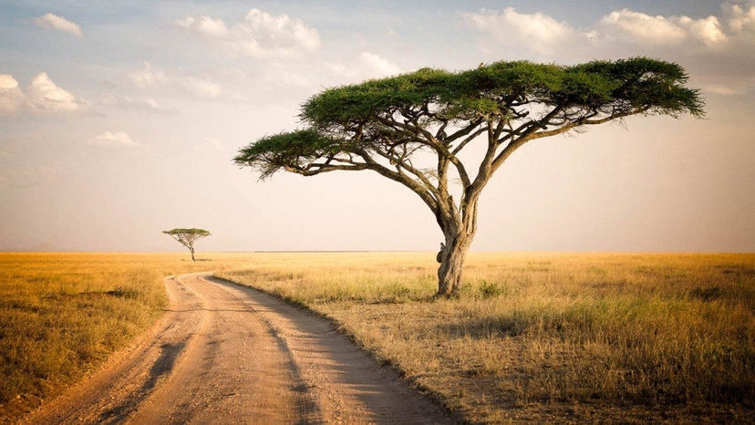 4-Day Mid-Range Lodge and 1 Night Camping Safari 4