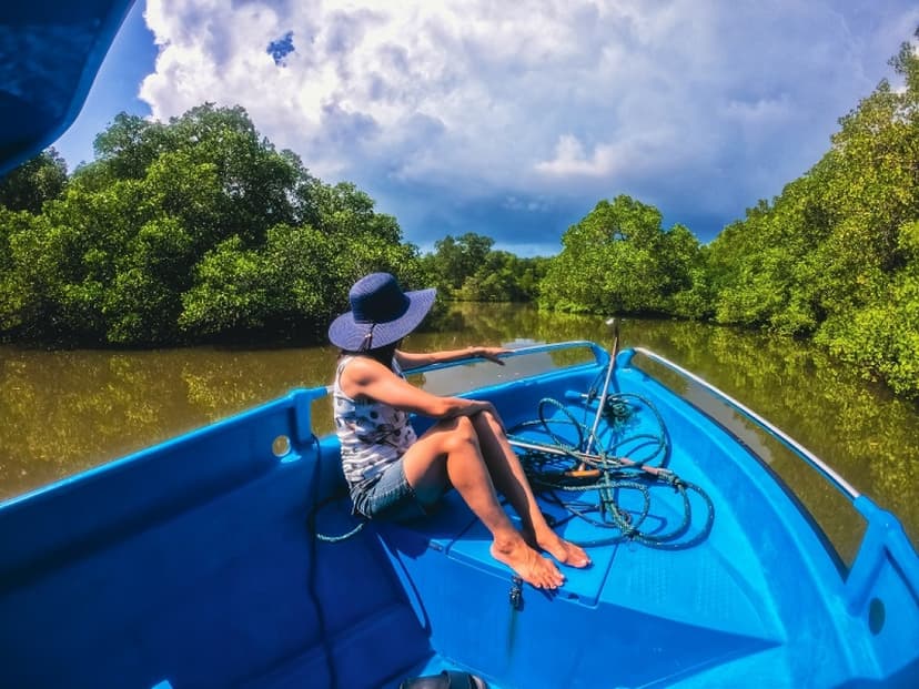 Bali Snorkeling and Mangrove Cruise by Glass Bottom Boat 2