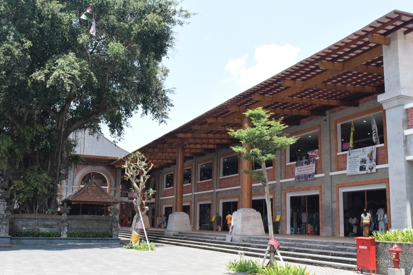 Bali Swing, Tegalalang Rice Terrace and Ubud Center 3