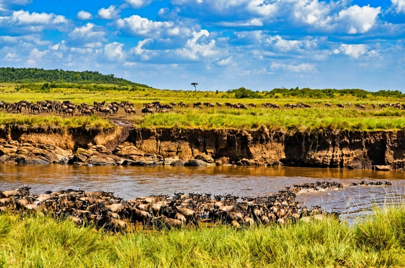 3 Day Masai Mara Budget Safari 2