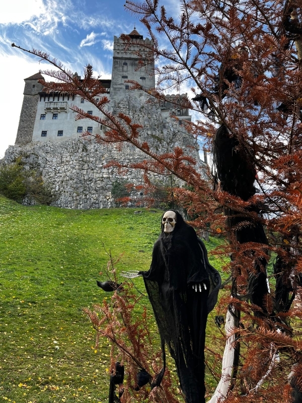 Encounter Dracula’s Legend and Majestic Brown Bears: A Thrilling Transylvanian Adventure 3
