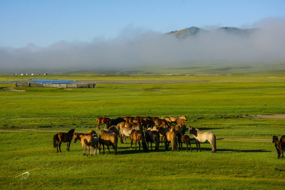North Mongolia Tour Nature and Nomadic Experience 1