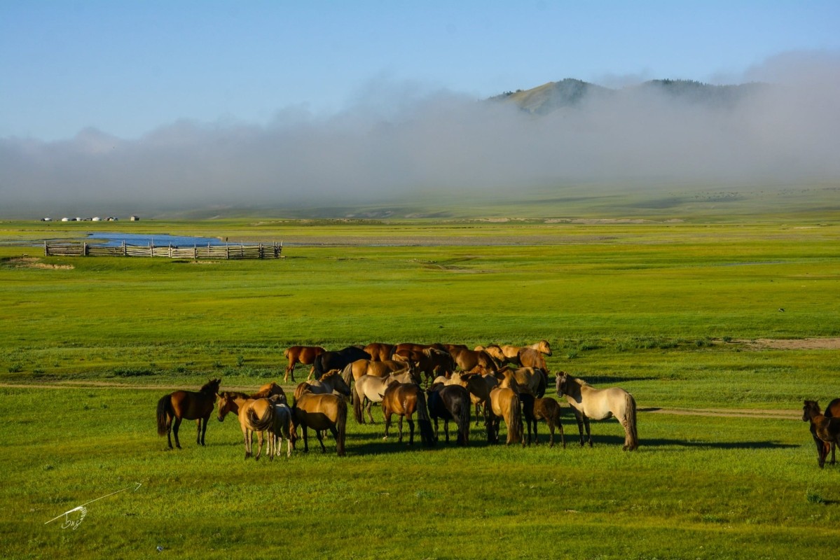 North Mongolia Tour Nature and Nomadic Experience 1