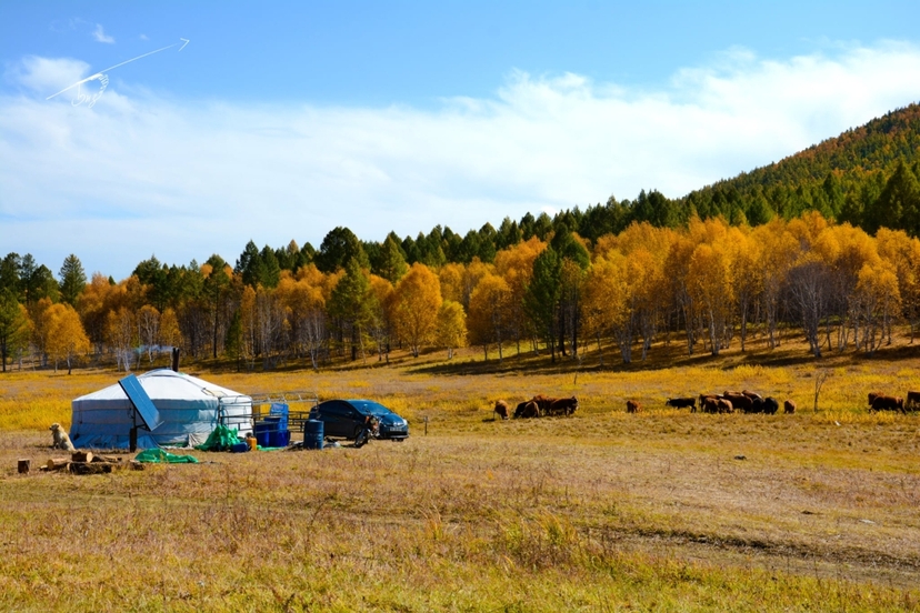 Central Mongolia Tour Steppe and Nomad Experience 3
