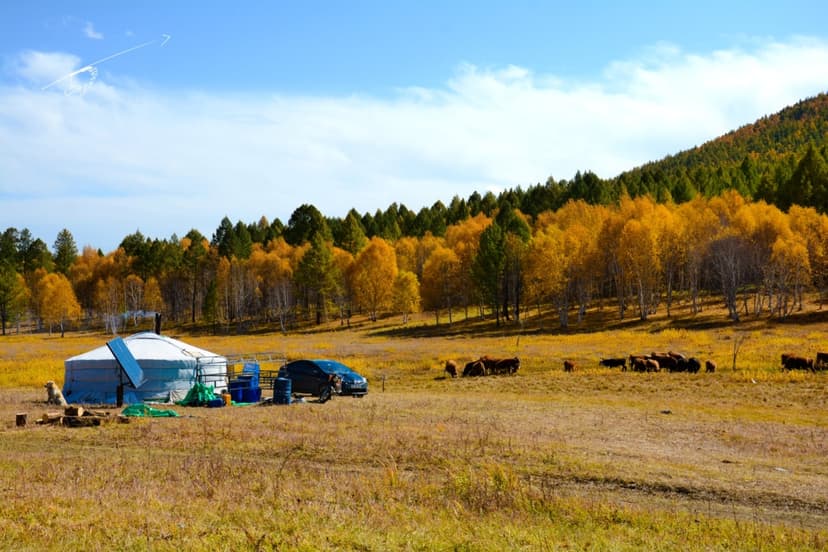 Central Mongolia Tour Steppe and Nomad Experience 3