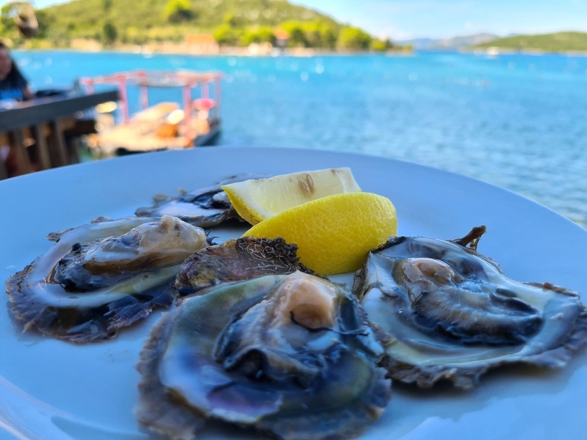 Dubrovnik & Ston Day Trip from Split/Trogir – Walls of Salt & Oyster Gold 3