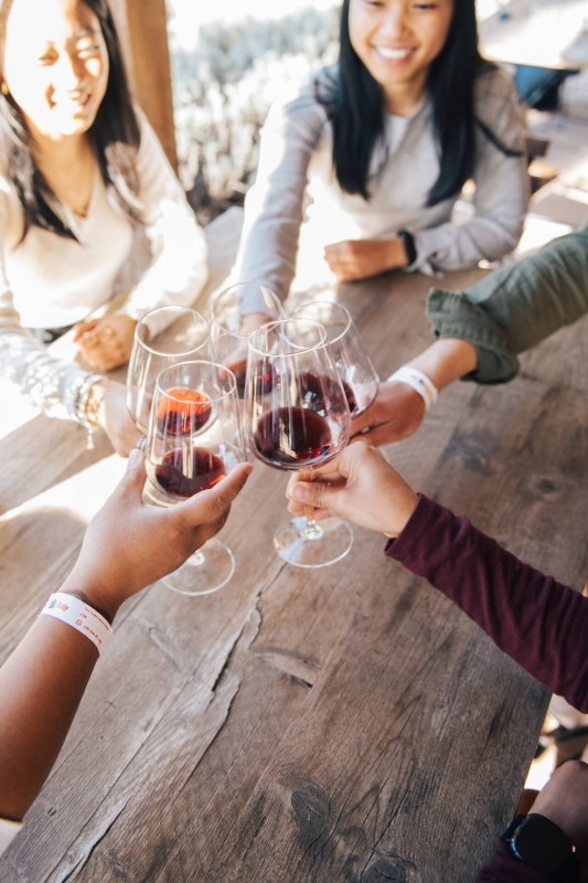 Chianti Wine Experience: Wine Tasting and Cellar Tour in the Heart of Tuscany from Florence 1