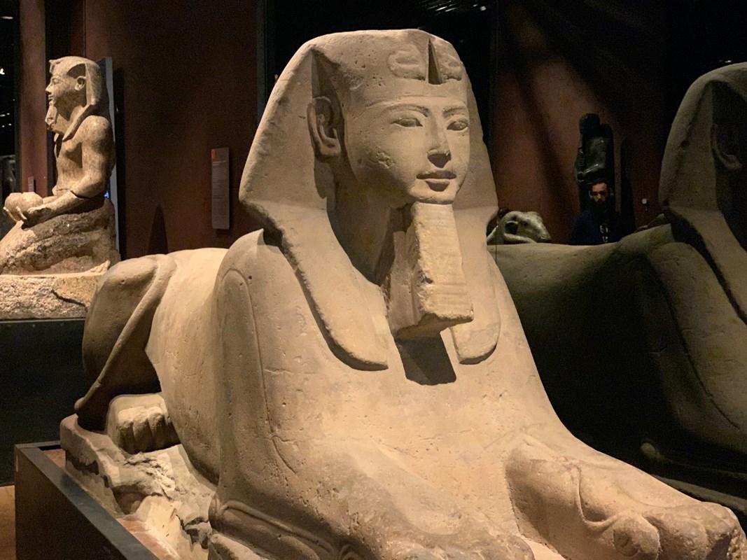 Egyptian Museum of Turin: Entrance Ticket & Hop On Hop Off tour Egyptian Museum of Turin: Entrance Ticket & Hop On Hop Off tour