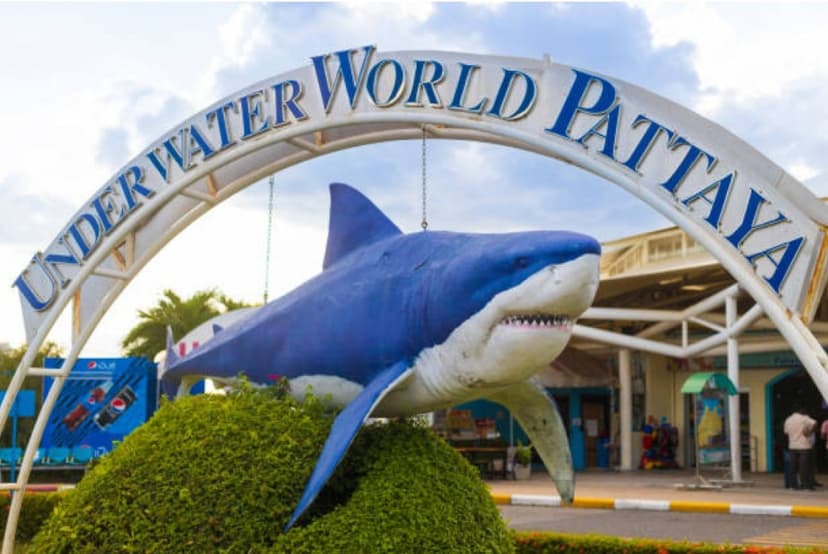 Only Ticket Entrance Fee Underwater World Pattaya 4