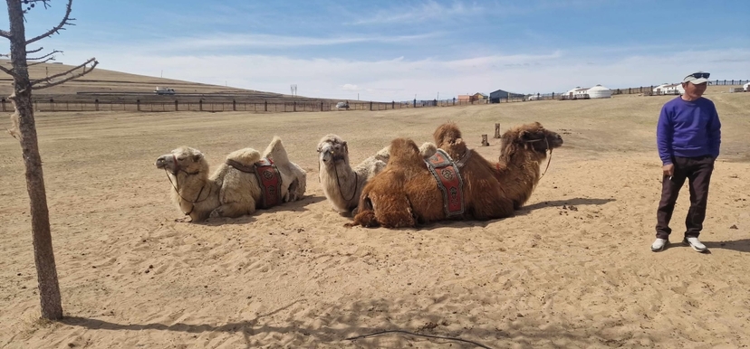 Gobi Desert Tour 2026 Mongolia Adventure Experience 2