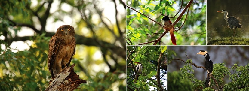Feathered Trails Expedition 2