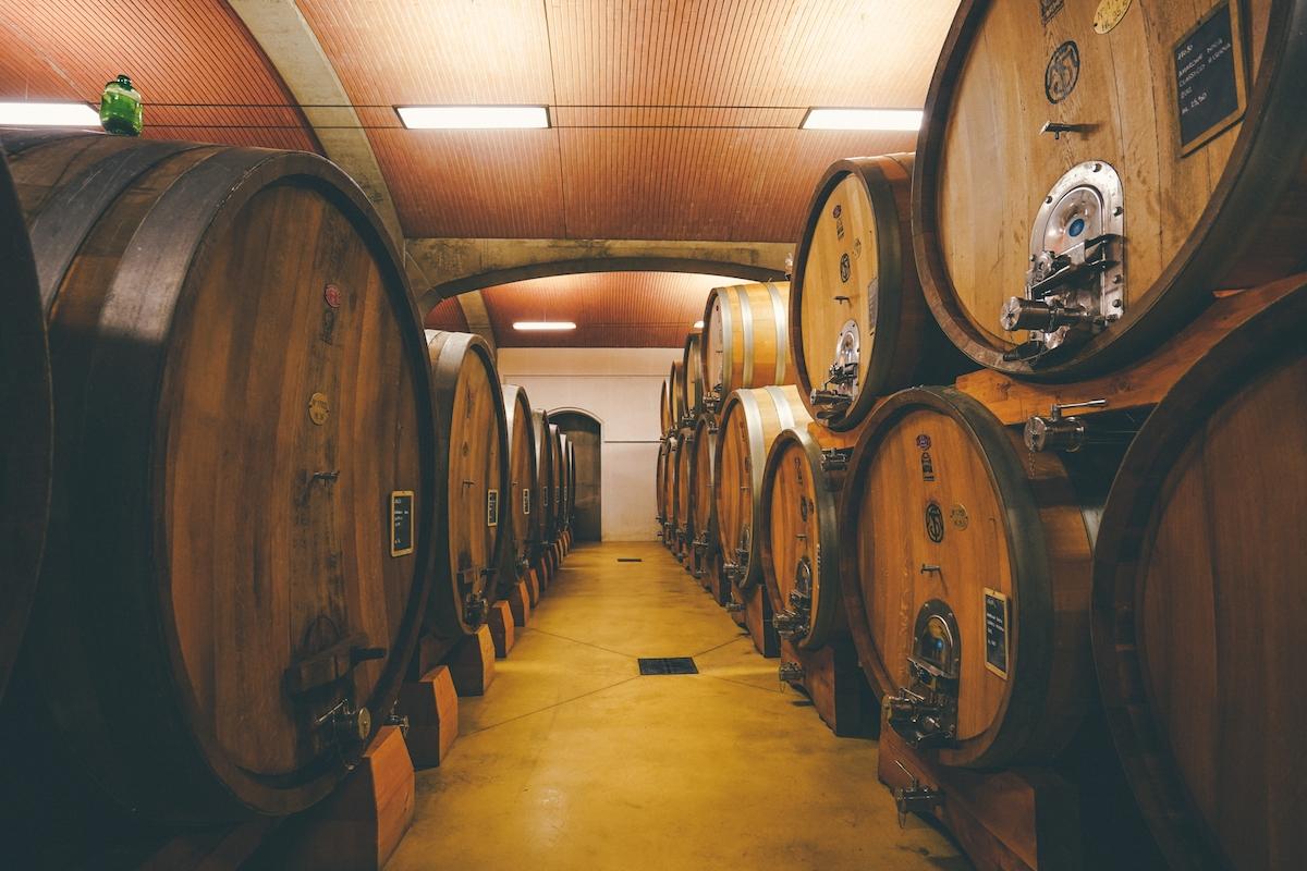 Valpolicella and Amarone Wine Tour from Verona Valpolicella and Amarone Wine Tour from Verona