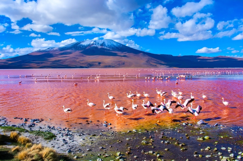 10 Days Essential and natural Bolivia: from Santa Cruz to the salar de Uyuni 2