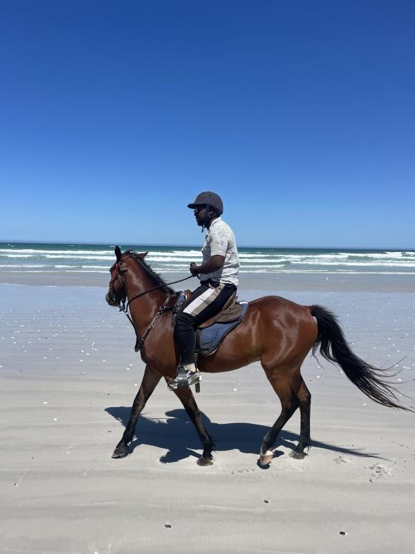 Beach Horse Ride with Hotel Pickup & Drop-off- Cape Town Beach Horse Ride with Hotel Pickup & Drop-off- Cape Town