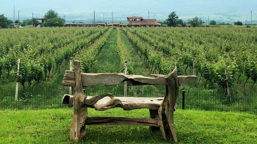 3 Day Kakheti Wine Tour from Tbilisi – Exclusive Georgian Wine Experience 4