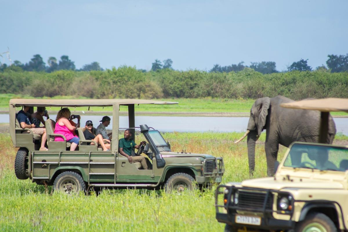The perfect 2 Days Safari Selous G.R/Nyerere National Park The perfect 2 Days Safari Selous G.R/Nyerere National Park