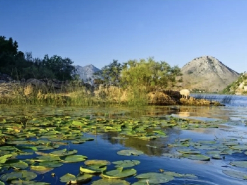 Jewels of Skadar Lake: Rijeka Crnojevica hiking, boating and wine tasting 4
