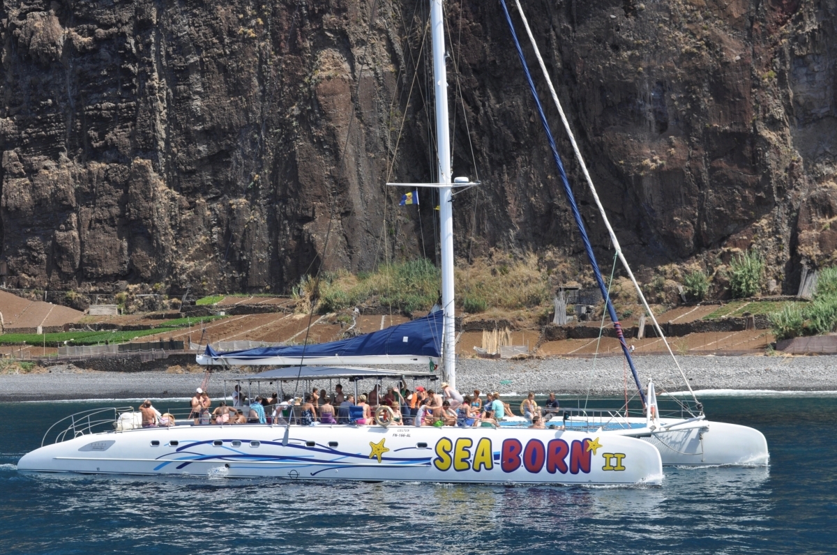 Catamaran Cruise Sea Sailing Experience 1