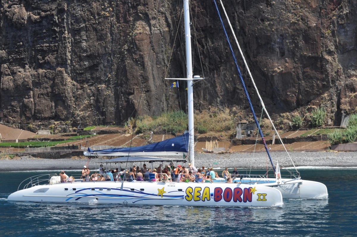 Catamaran Cruise Sea Sailing Experience 1
