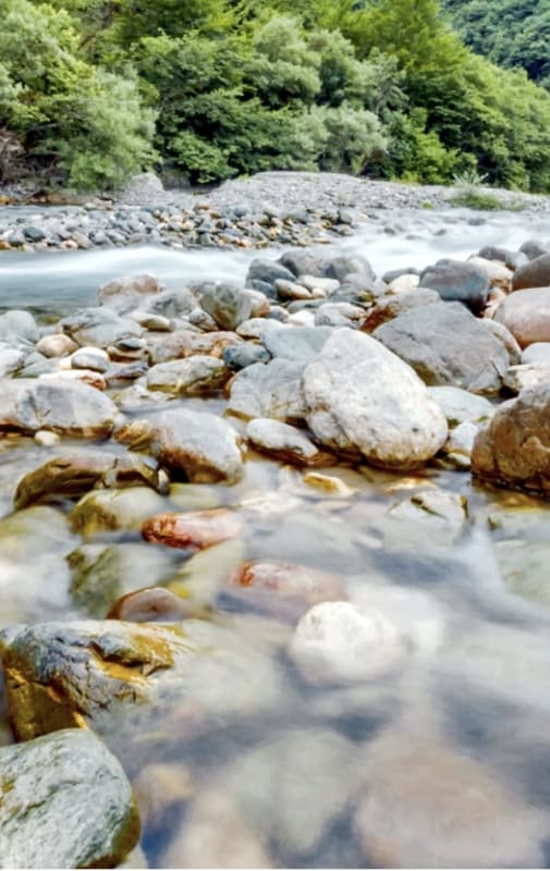 Tara Canyon Rafting, Zipline and Traditional Lunch ALL inclusive 3