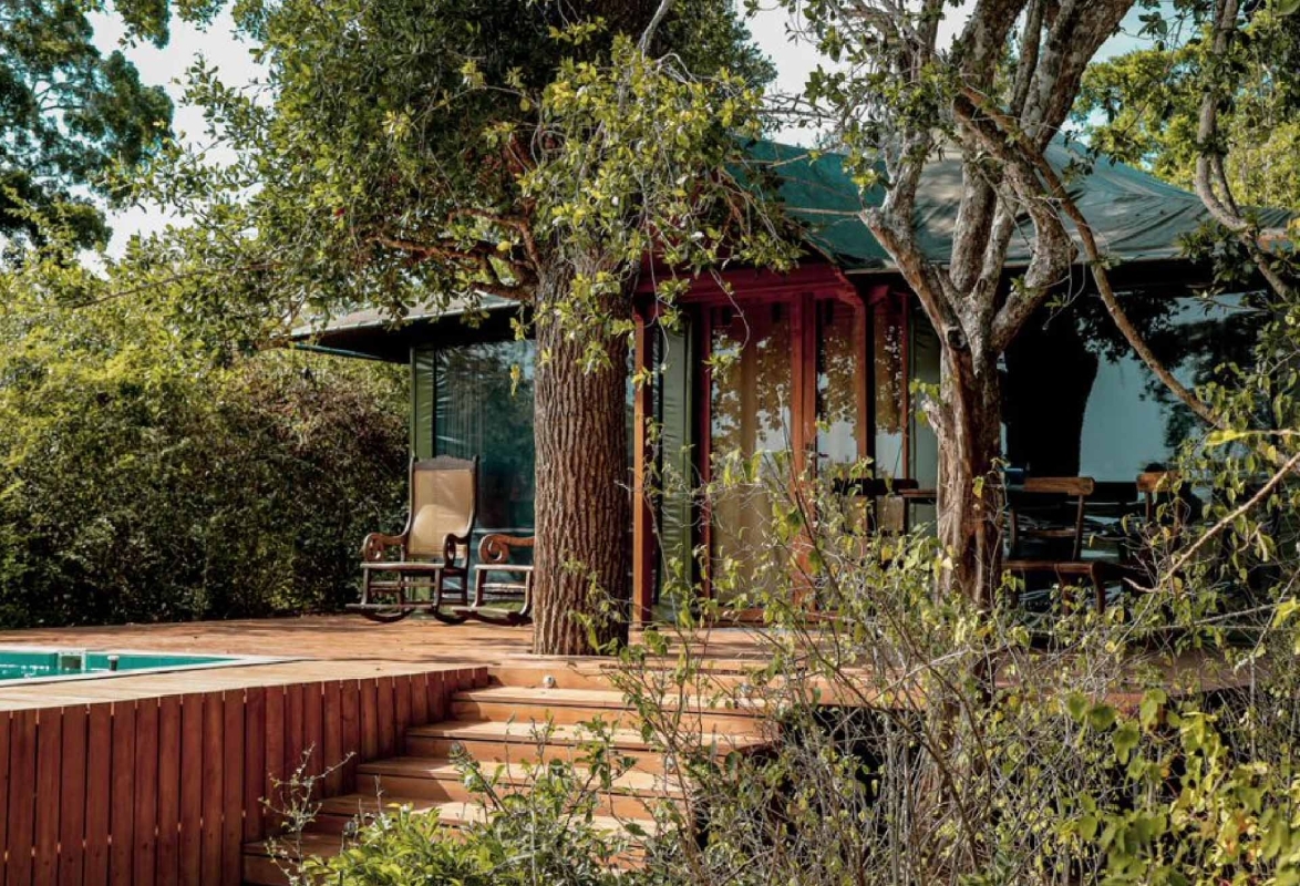 Into the Wild: A Luxury Sri Lankan Jungle Safari 1