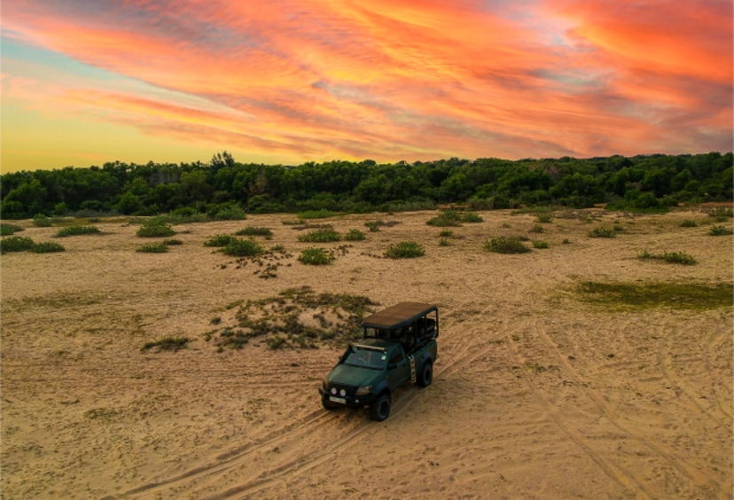 Into the Wild: A Luxury Sri Lankan Jungle Safari 2